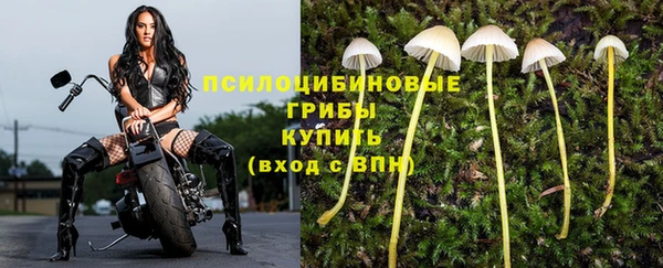 хмурый Богородск